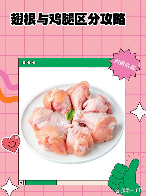 鸡腿和翅根的区别图_鸡腿翅根怎么选？炖烤快炒看这里！
