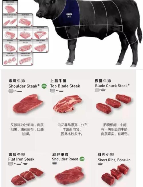 美式肥牛是哪个部位的肉_安格斯牛制作，部位多，适合火锅烧烤