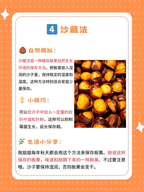 生板栗仁怎么长期保存_板栗怎么保存？冷藏冷冻是妙招