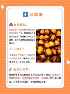 生板栗仁怎么长期保存_板栗怎么保存？冷藏冷冻是妙招