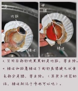 5张图教你怎样清洗扇贝_清洗新鲜扇贝，保营养好口感