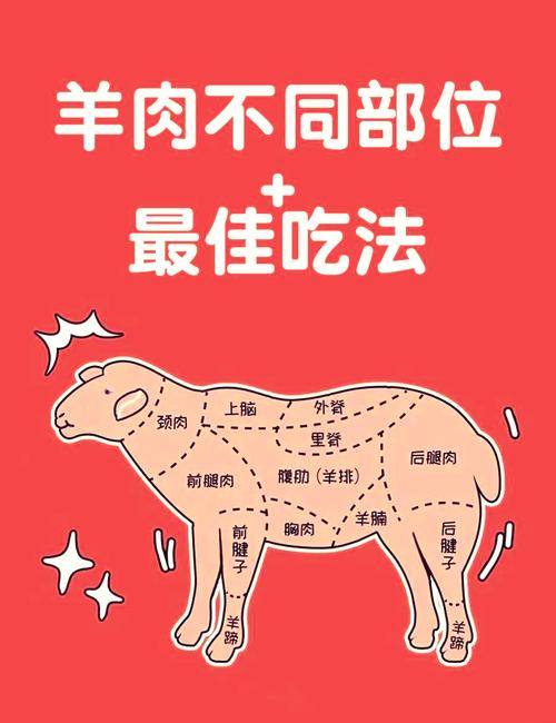 羊蝎子是羊的哪个部位_天然钙片，滋补美味