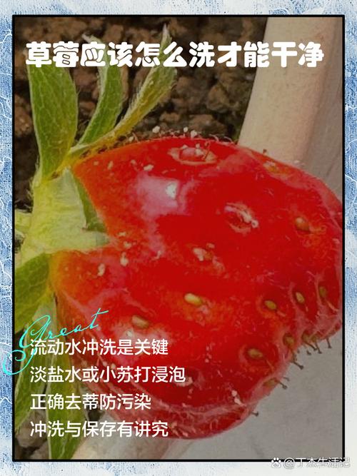 草莓弄到白衣服怎么洗才干净_洗衣液白醋除草莓渍，衣物洁净如新