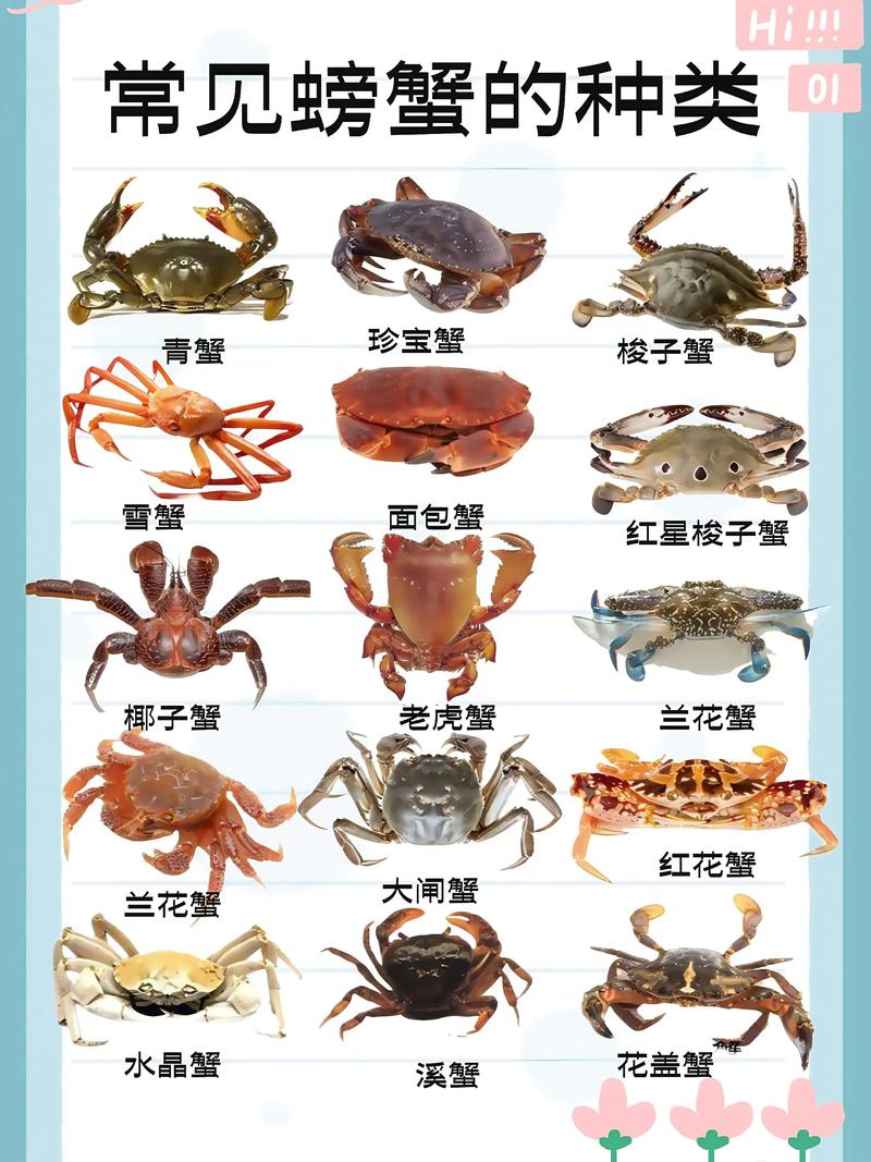 螃蟹属于什么界门纲目科属种_海里美食,蜕壳危险 螃蟹属于什么界门纲目科属种_海里美食,蜕壳危险