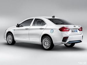 鲨鱼鳍位置图_鲨鱼鱼鳍再生引悲剧，亟待保护海洋生态