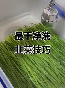 洗过的韭菜怎么保存_韭菜怎么保存？冷藏冷冻晾干各有妙招