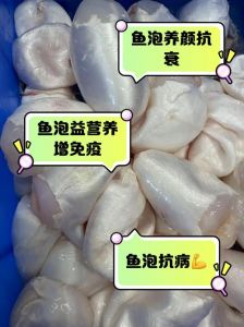 鱼泡是鱼的什么部位_鱼泡调节浮力，富含营养可食用