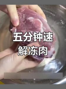急冻猪肉怎么解冻快_冻肉怎么解冻？冷藏冷水微波看这里