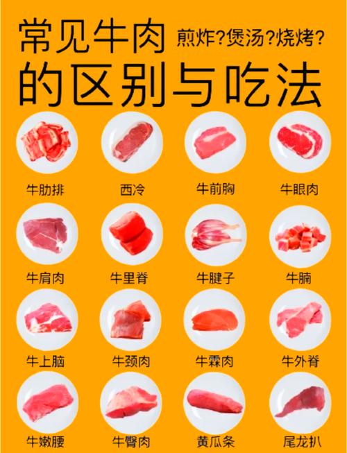 自制牛肉卷用牛哪个部位_牛肉卷怎么选?部位口感做法全解析 自制牛肉卷用牛哪个部位_牛肉卷怎么选?部位口感做法全解析