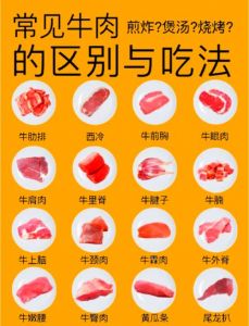 自制牛肉卷用牛哪个部位_牛肉卷怎么选？部位口感做法全解析
