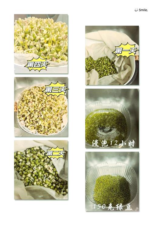 豆芽焯水几分钟能熟_豆芽焯水多久?1-2分钟看种类保脆嫩 豆芽焯水几分钟能熟_豆芽焯水多久?1-2分钟看种类保脆嫩