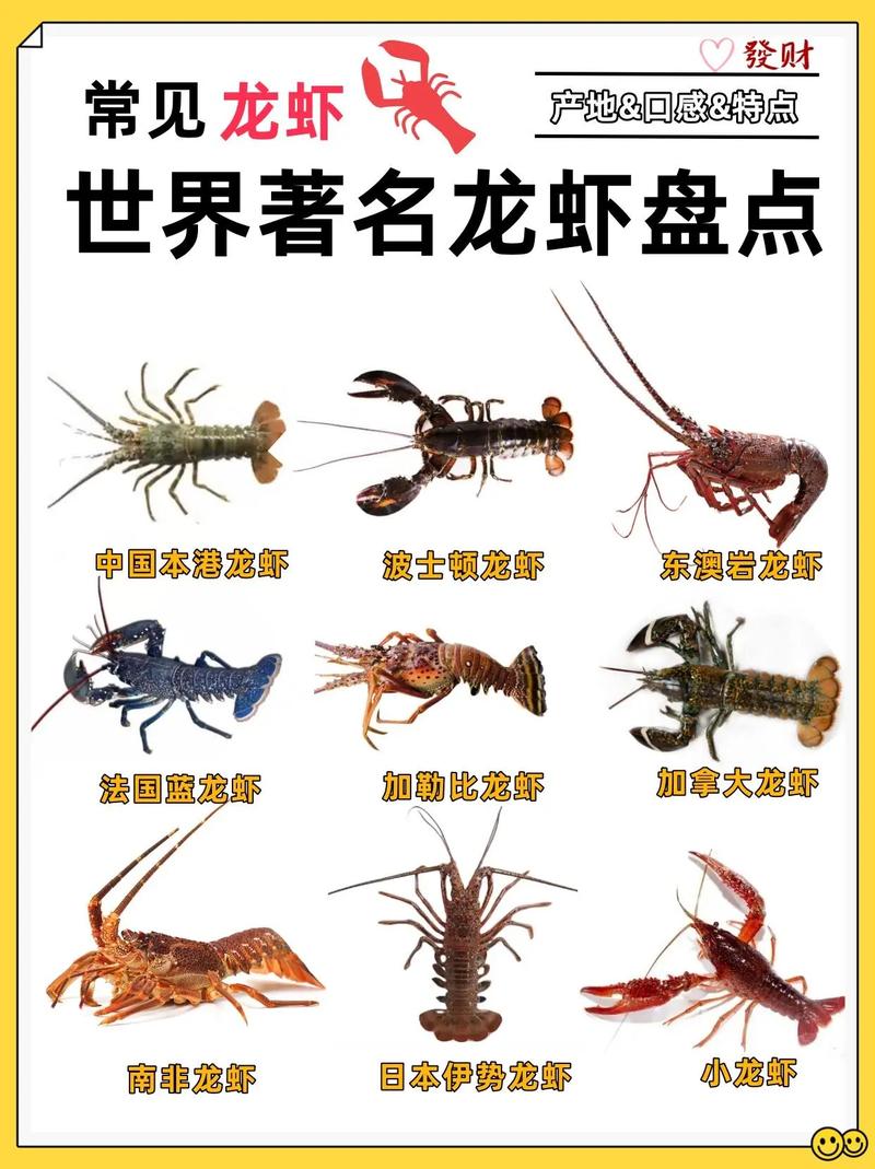 蝲蛄小龙虾对比图_不同之处大