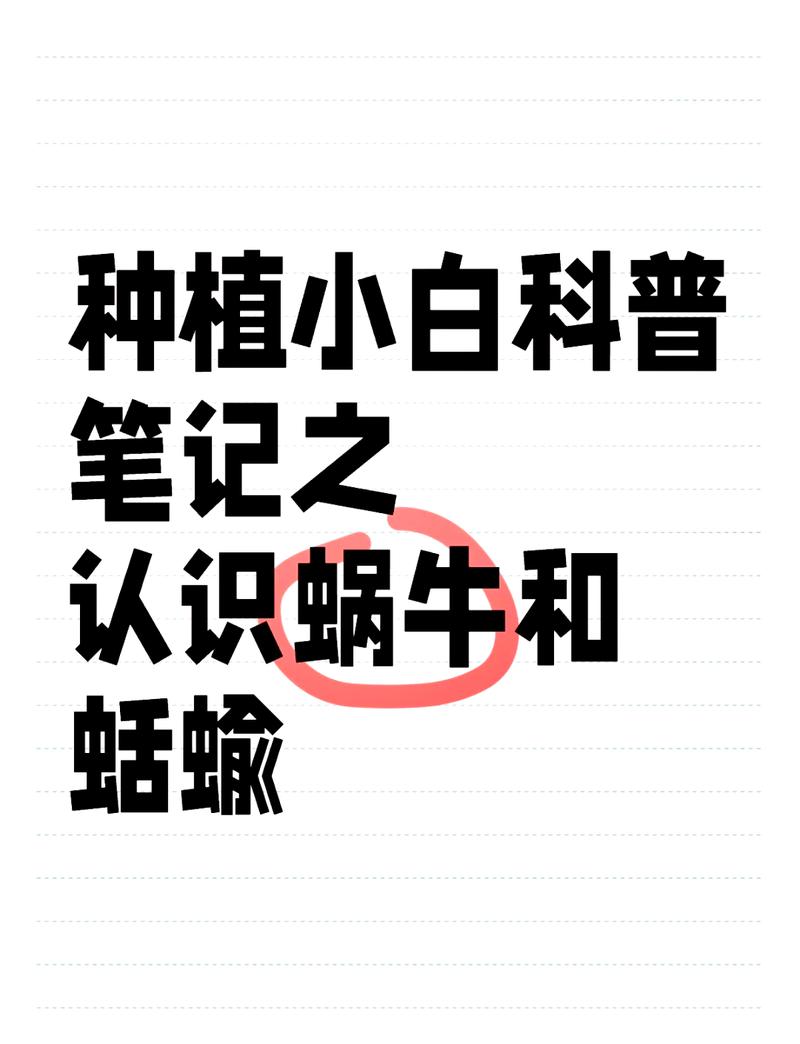 蝲蛄怎么念_蝲蛄 làgǔ 食用与知识