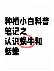 蝲蛄怎么念_蝲蛄 làgǔ 食用与知识