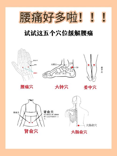 腰的准确位置示意图_区分肋骨肌肉与肾脏问题