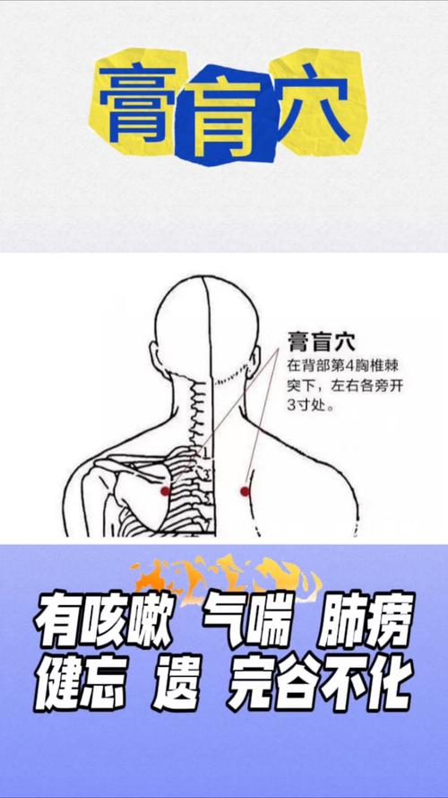 膏肓的准确位置图_膏肓穴按摩保健法