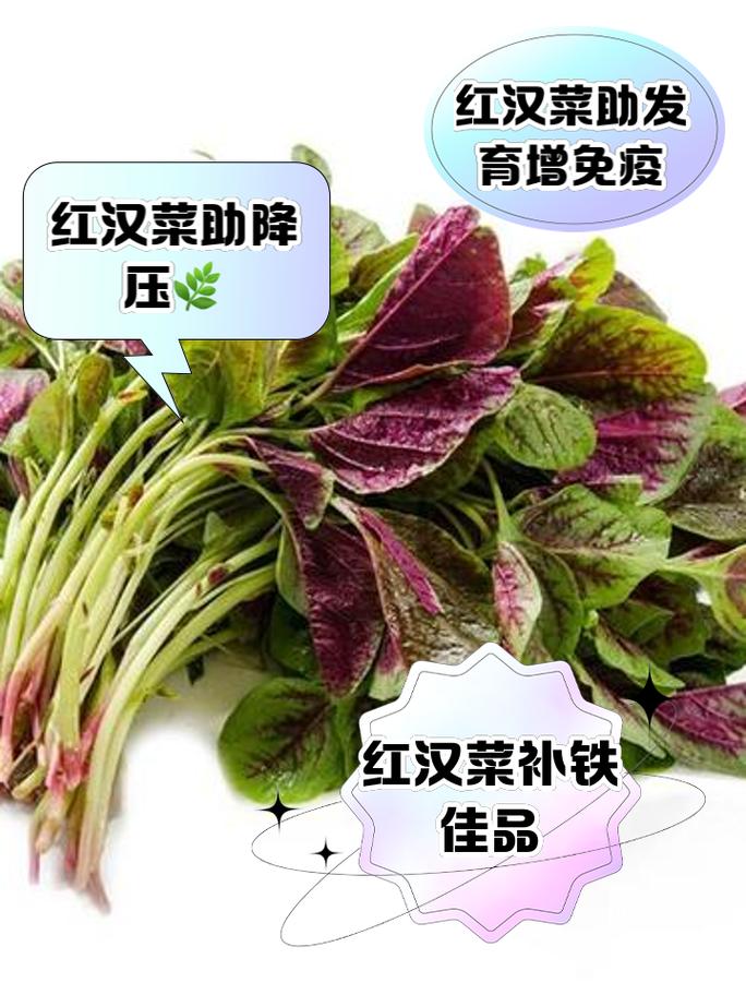 苋菜红是人工合成色素吗_安全食品添加剂，需合理食用