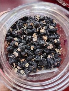 黑枸杞为什么叫短命茶_营养好，别过量！