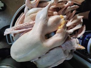 松香脱毛的鸭子怎么去洗_松香脱毛需清洗防隐患，食品安全要注意