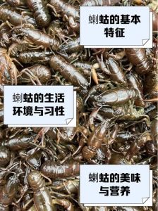 蝲蝲蛄怎么读_蝼蛄的俗称和害虫防治
