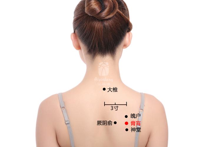 膏肓的准确位置图_膏肓穴按摩保健法