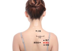 膏肓的准确位置图_膏肓穴按摩保健法