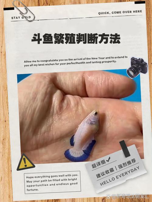 一夹一摇和鲤鱼吸水有什么区别_提升性爱快感的技巧