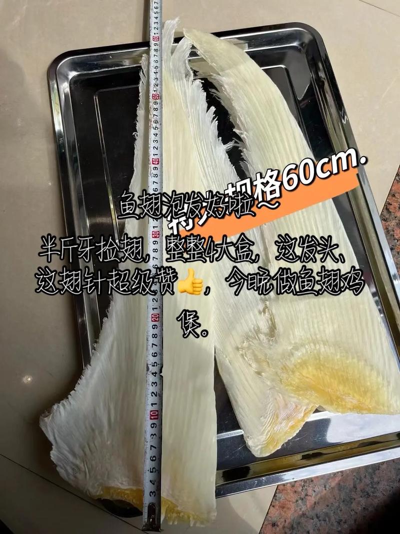 鲨鱼鱼翅部位标识图_停止残忍鱼翅贸易，保护海洋生态，美味不贵有替代品