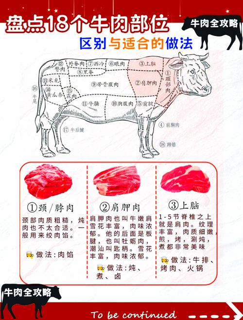 美肥牛肉是哪个部位_牛肉做法不同，部位有讲究！