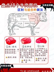 美肥牛肉是哪个部位_牛肉做法不同，部位有讲究！