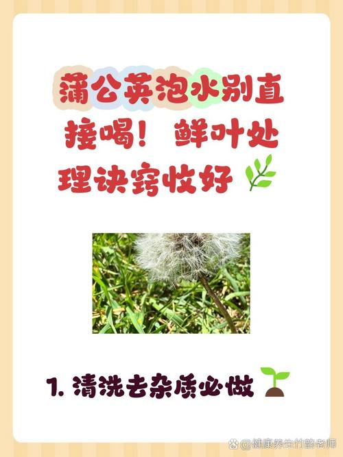 蒲公英白色汁液怎么洗掉_温水或小苏打泡洗,污衣用酒精醋除 蒲公英白色汁液怎么洗掉_温水或小苏打泡洗,污衣用酒精醋除