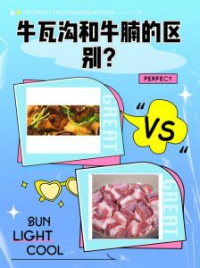 牛瓦沟就是牛肋条吗_鲜嫩牛肉，炖煮萝卜汤佳品