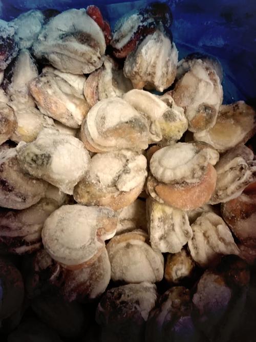 冻扇贝肉怎么清洗干净图解_解冻清洗冷冻扇贝肉，简单易学保鲜嫩