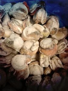 冻扇贝肉怎么清洗干净图解_解冻清洗冷冻扇贝肉，简单易学保鲜嫩