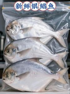银鲳鱼是深海鱼吗_鲜美营养，老少皆宜