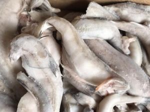 虾潺是龙头鱼吗_鲜美主骨鱼，多地爱食客