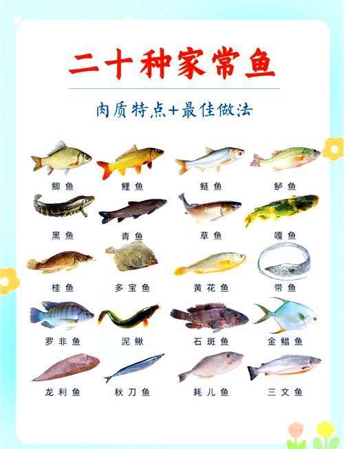 钳鱼和草鱼的区别_无刺嫩滑与鲜香多样