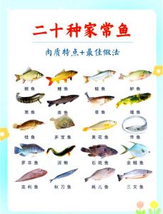 钳鱼和草鱼的区别_无刺嫩滑与鲜香多样