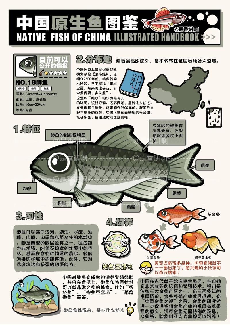 吃腐叶的鱼鲫鱼会吃腐叶吗_鲫鱼吃腐叶吗?杂食性食性解析 吃腐叶的鱼鲫鱼会吃腐叶吗_鲫鱼吃腐叶吗?杂食性食性解析