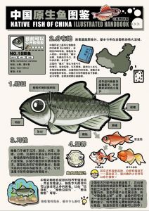 吃腐叶的鱼鲫鱼会吃腐叶吗_鲫鱼吃腐叶吗？杂食性食性解析