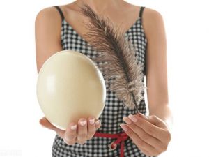 鸵鸟蛋和鹅蛋哪个营养价值高_营养高风味佳的软黄金