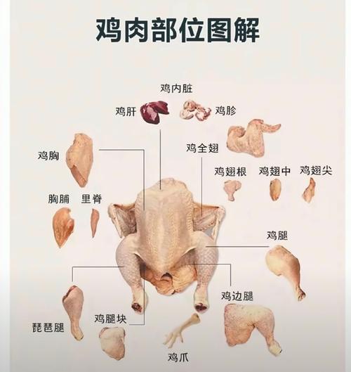 鸡腿和翅根的区别图_鸡腿翅根怎么选？炖烤快炒看这里！