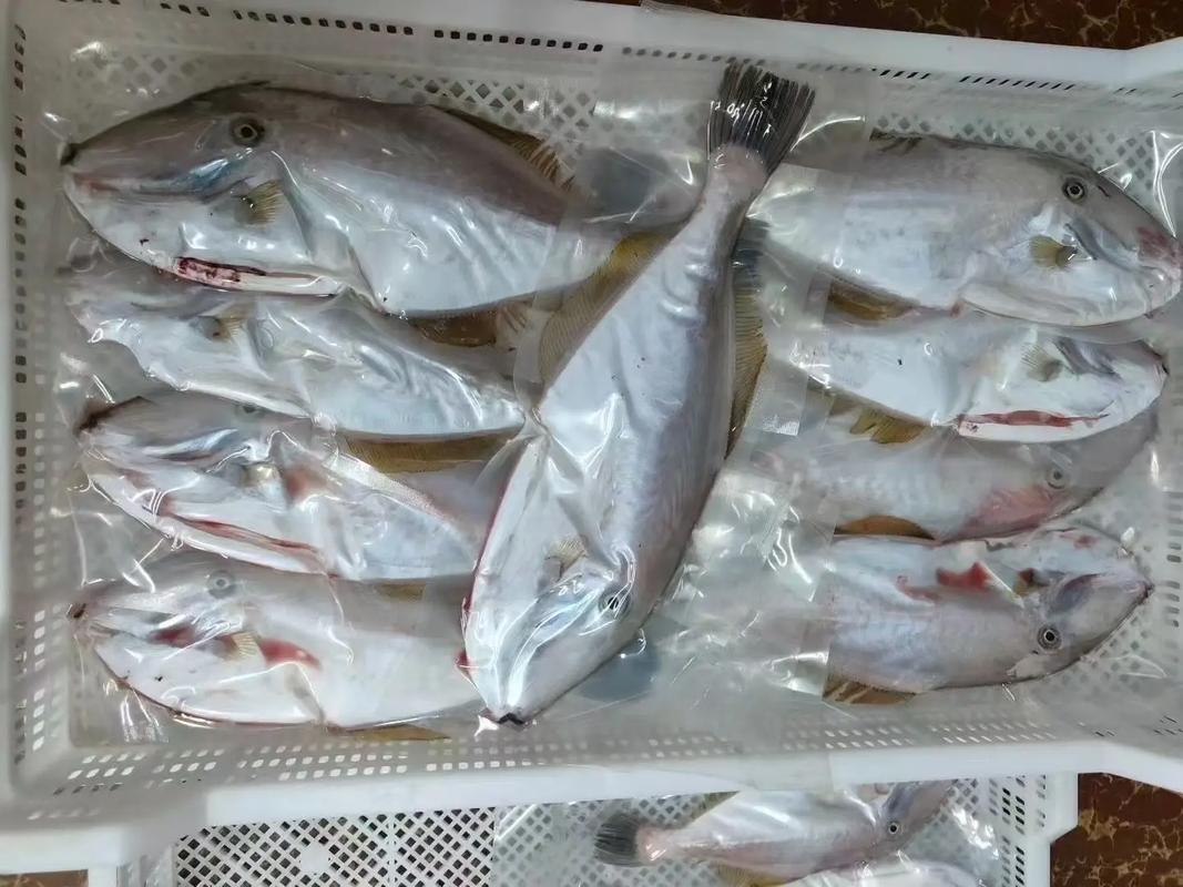 扒皮鱼怎么处理图解_扒皮鱼去腥处理及多元做法