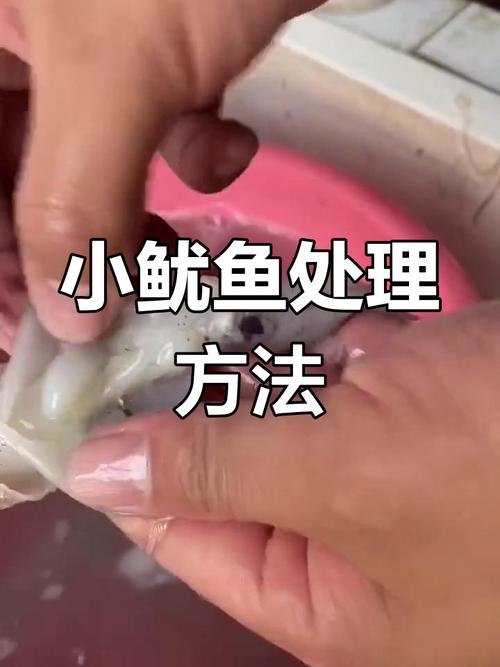 生鱿鱼怎么处理干净_剪腹撕膜洗吸冰,美味卫生! 生鱿鱼怎么处理干净_剪腹撕膜洗吸冰,美味卫生!