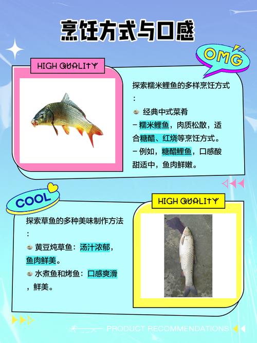 鲤鱼跟鲤鱼有什么区别_颜色体型差异,黑鲤鱼是保护动物 鲤鱼跟鲤鱼有什么区别_颜色体型差异,黑鲤鱼是保护动物