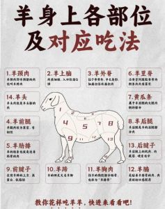 羊腿肉怎么切图解_分割羊腿肋条棒骨羊蝎子羊肉片羊腩肉做法全攻略