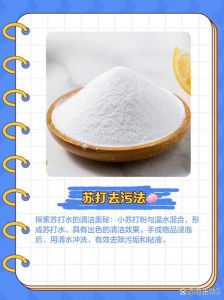 菠萝蜜汁液粘到衣服怎么洗掉_菠萝蜜污渍巧处理，妙招来帮忙！