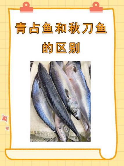 秋刀鱼算深海鱼吗_秋刀鱼近海美味,富含营养 秋刀鱼算深海鱼吗_秋刀鱼近海美味,富含营养
