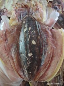 墨鱼乌贼是一种东西吗_乌贼墨鱼怎么选？做法营养大不同