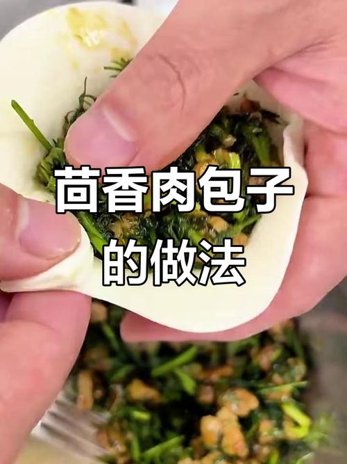 茴香肉馅包子的调馅方法_茴香肉包制作全攻略 茴香肉馅包子的调馅方法_茴香肉包制作全攻略